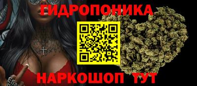 ПСИЛОЦИБИНОВЫЕ ГРИБЫ Нальчик
